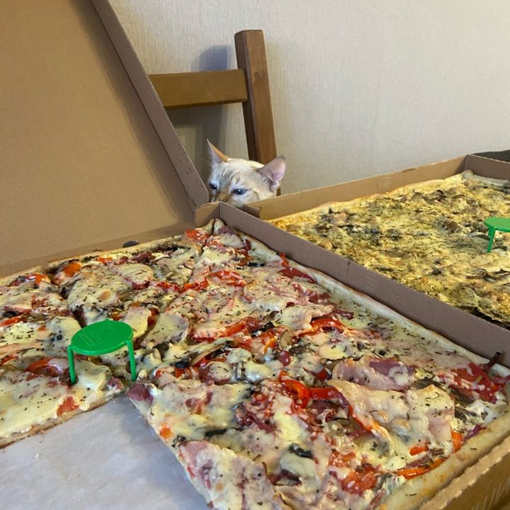 Доставка еды фото Pizza Ricca
