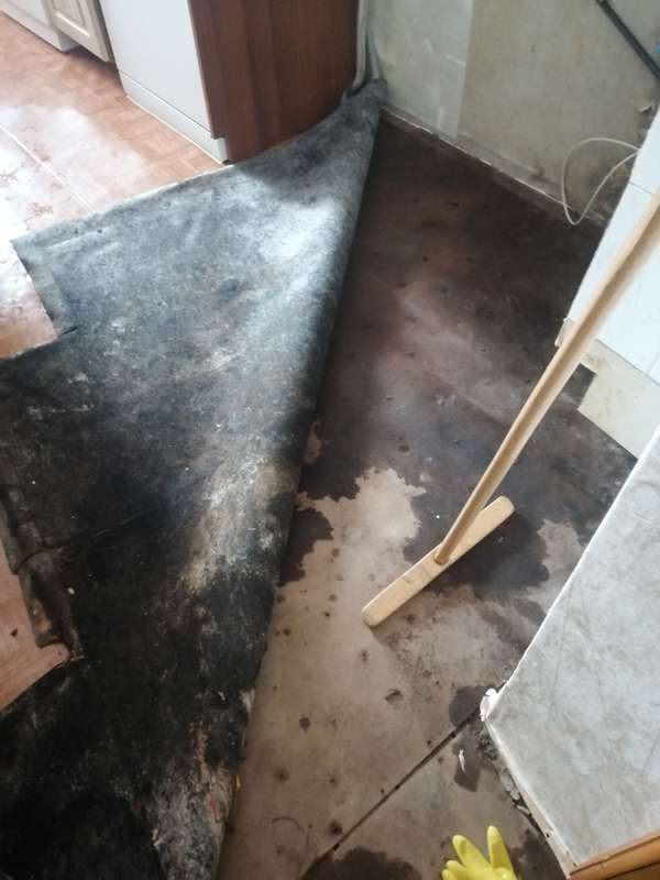 Фото еды отзыв Бусидо